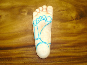 �A�[�`�T�|�[�g�̐݌v