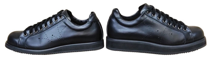 �r�����̒��������C